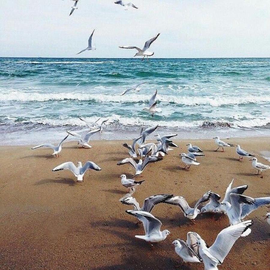 Appartamento CostaFontana Odessa Esterno foto